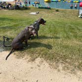 Review photo of Glacier Valley Campground by Annette I., June 19, 2023