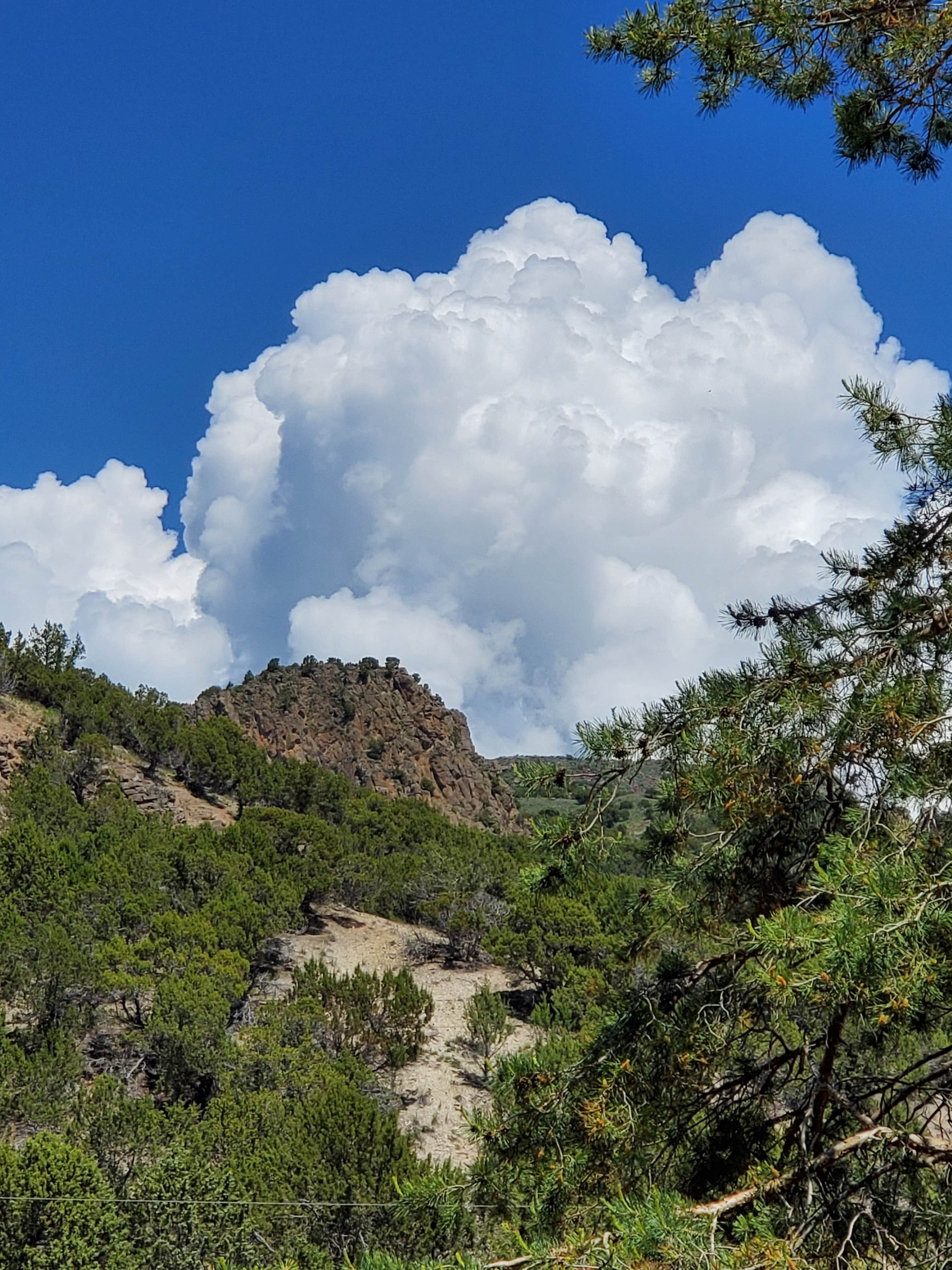 Robin B.'s photo of a dispersed camping area at Wolf Flats Recreation Area near Saint Anthony, ID