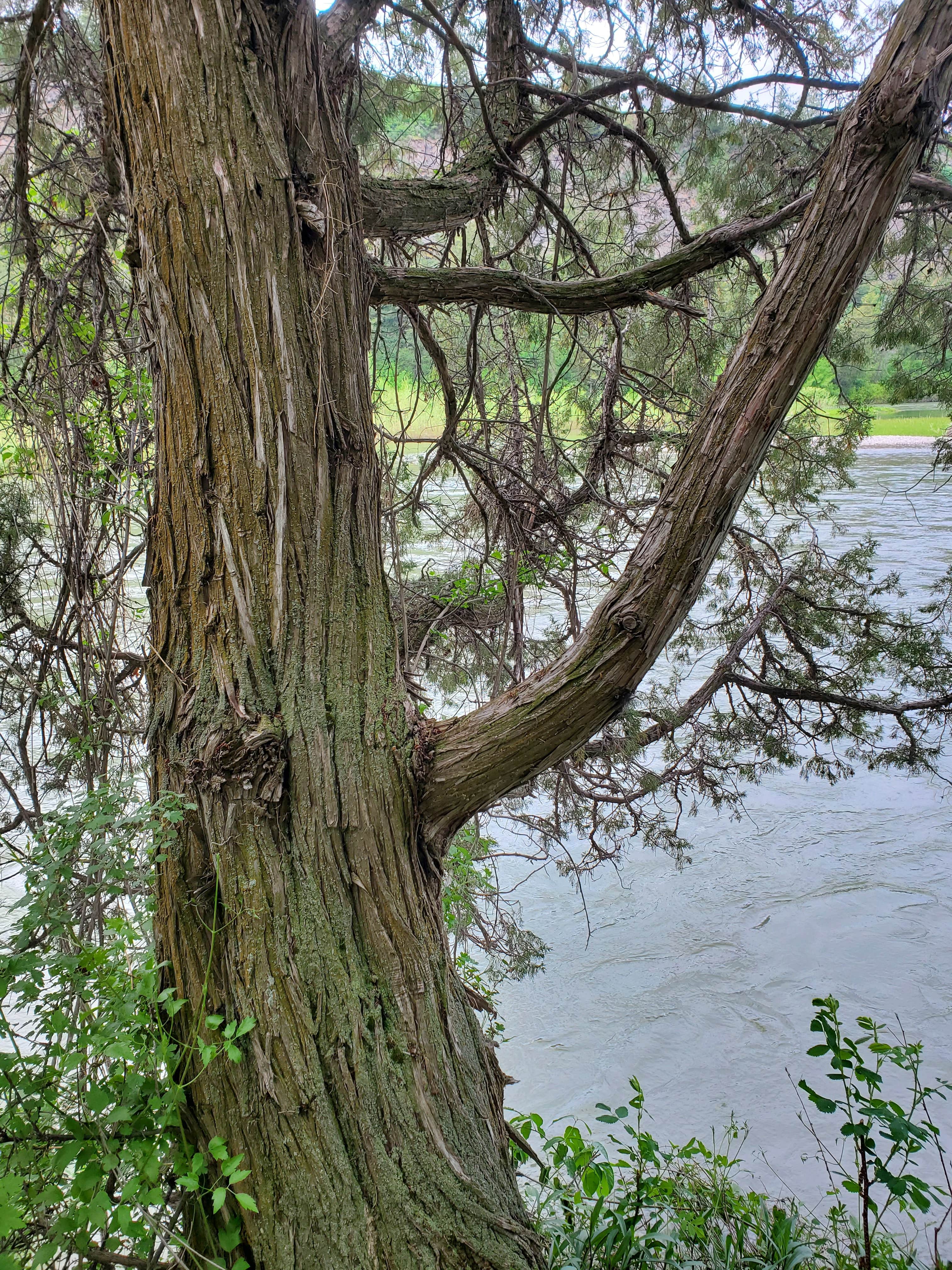 Wolf Flats Recreation Area