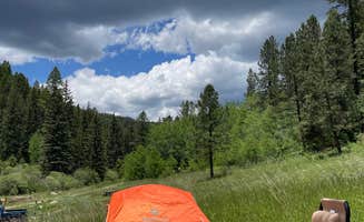 Aaron S.'s photo of camping with pets at Holy Ghost Campground near Pinos Altos, NM