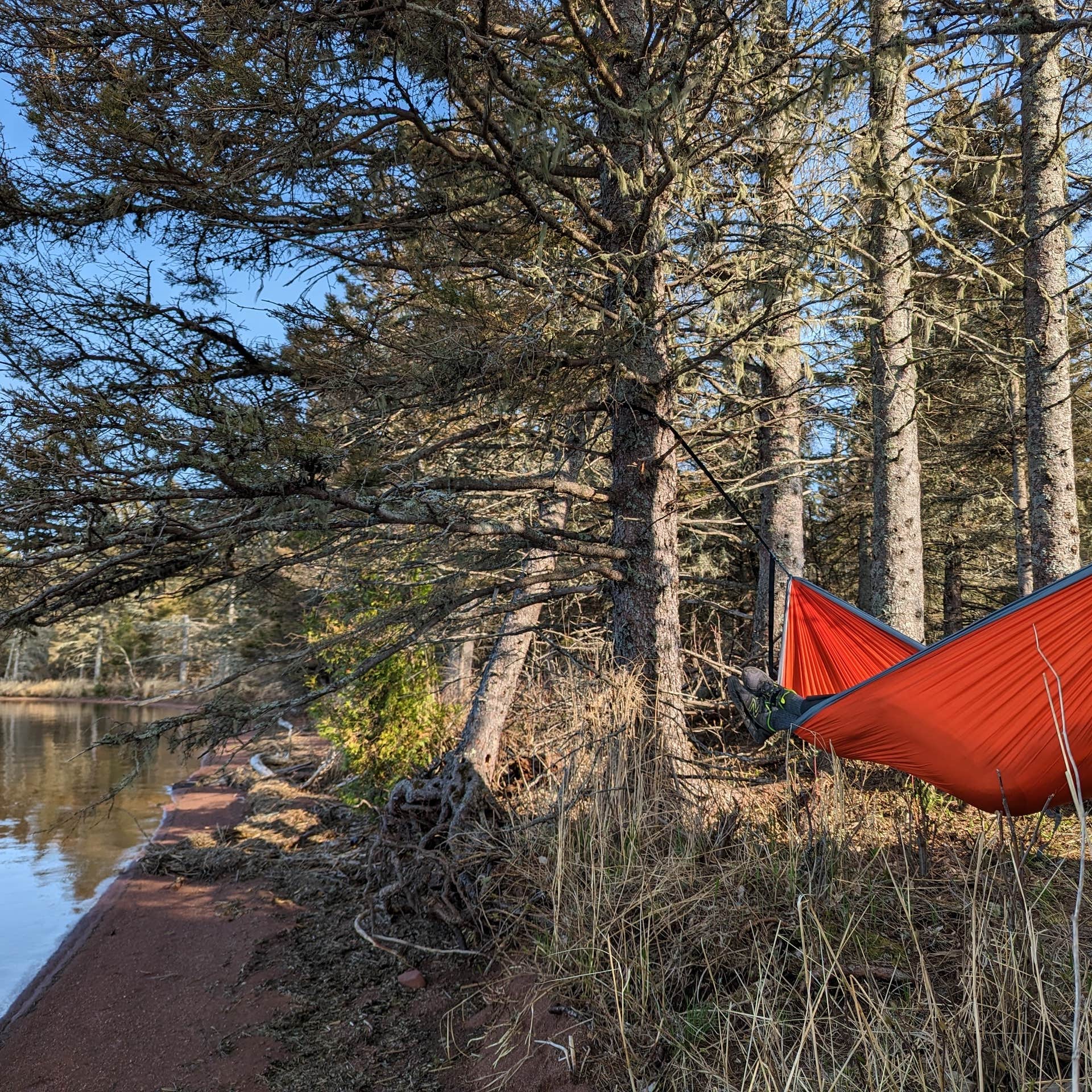 Feldtmann Lake Campground — Isle Royale National Park