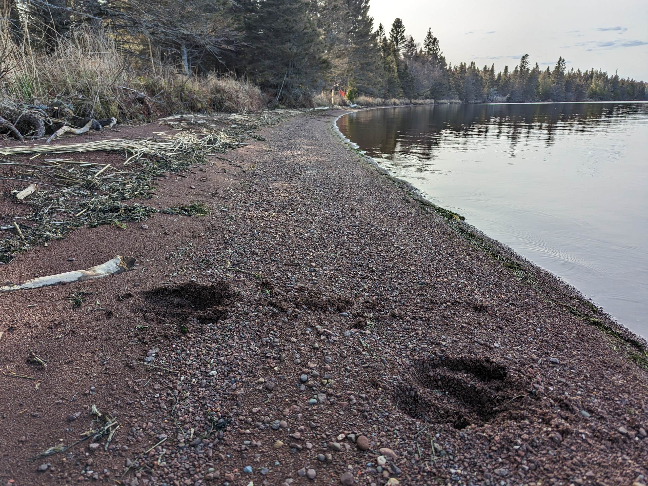 Camper submitted image from Feldtmann Lake Campground — Isle Royale National Park - 3