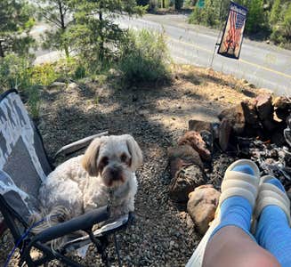 Camper-submitted photo from Gold Rush RV Park