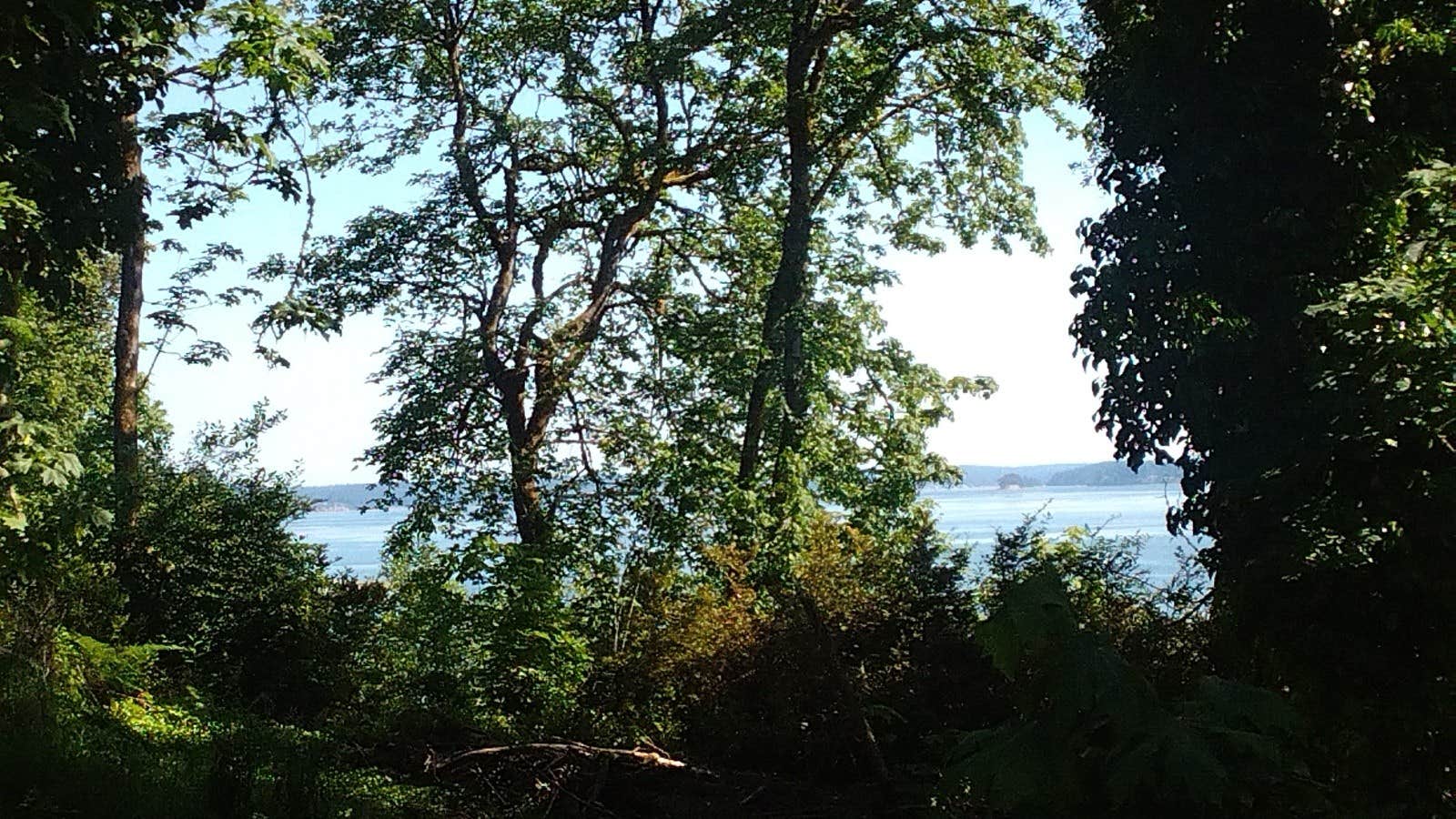 Camper-submitted photo at Macie's Brook near Lake Tapps, WA