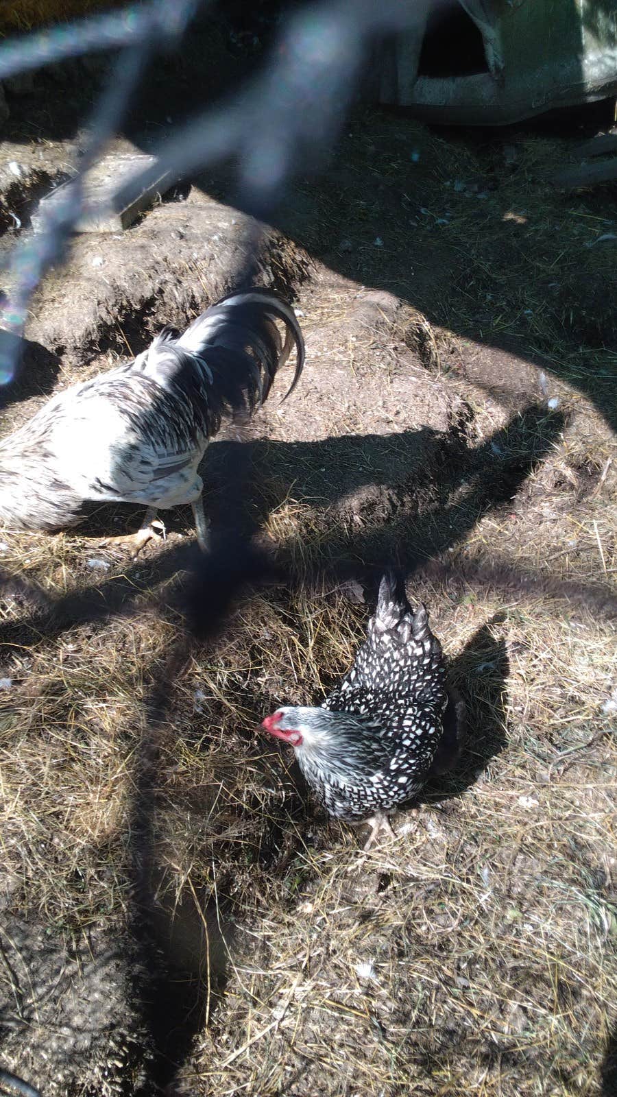 Camper-submitted photo at Macie's Brook near Lake Tapps, WA
