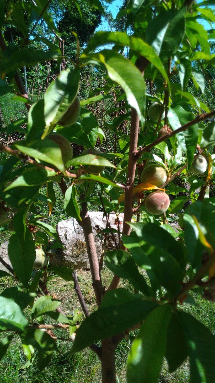 Camper-submitted photo at Macie's Brook near Lake Tapps, WA