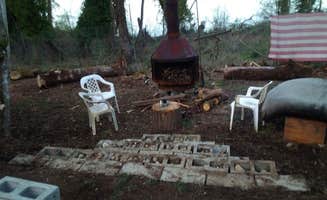 Cari L.'s photo at Macie's Brook near Lacey, WA