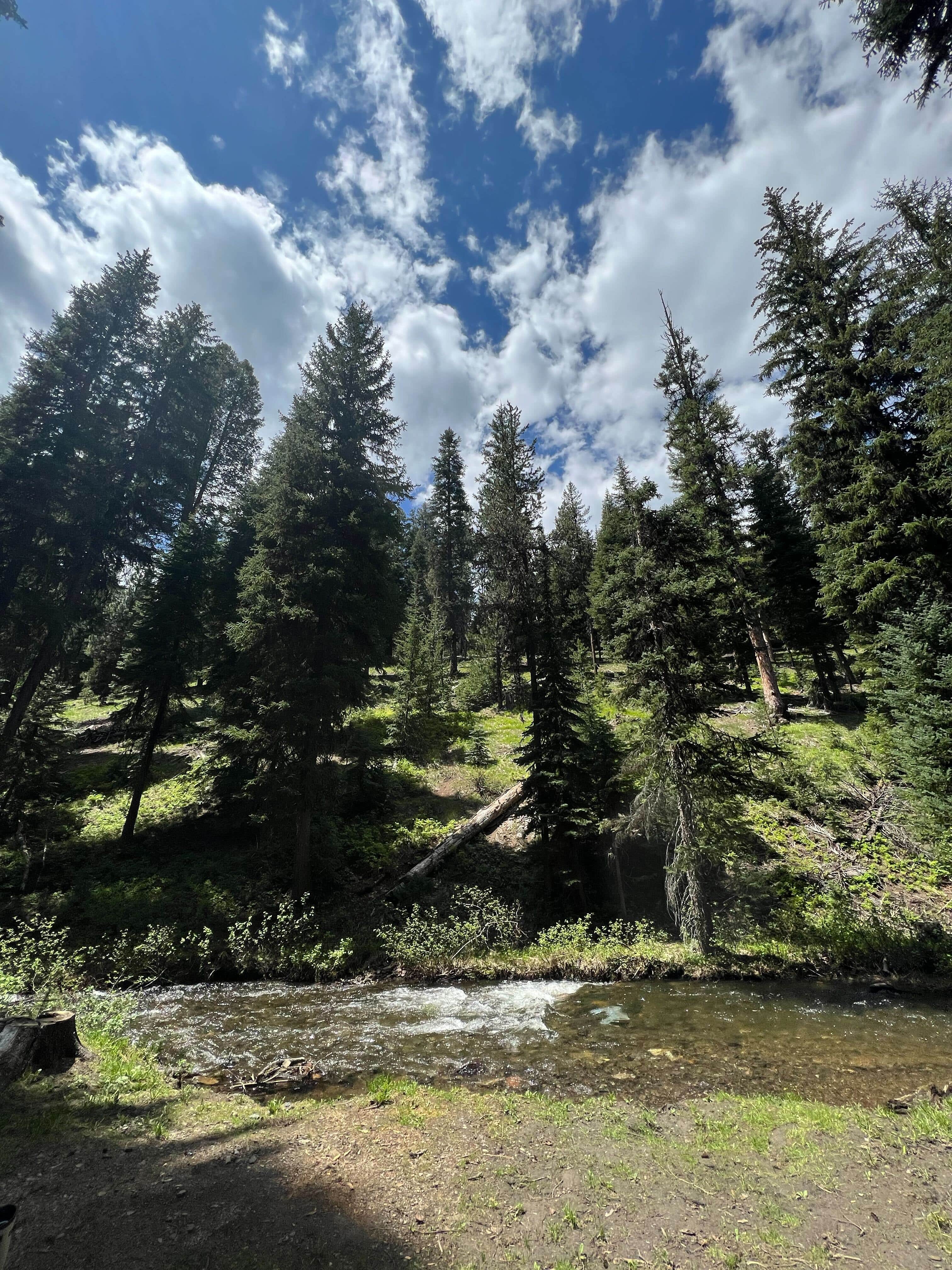 Camper-submitted photo at Mccully Forks near Sumpter, OR