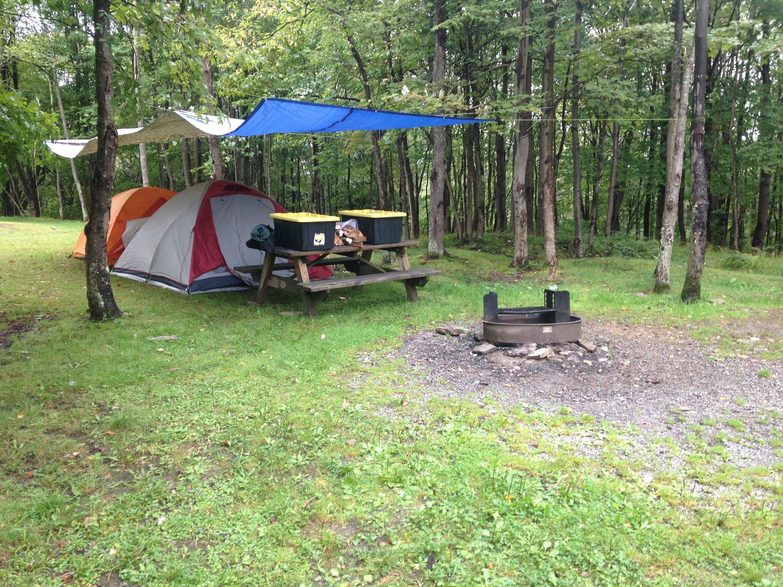Camper submitted image from Blackwater Falls State Park - 5