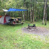 Review photo of Blackwater Falls State Park Campground by Hannah V., October 17, 2018