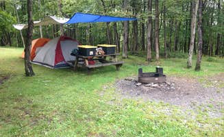 Hannah V.'s photo at Blackwater Falls State Park Campground near Grafton, WV