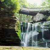 Review photo of Blackwater Falls State Park Campground by Hannah V., October 17, 2018