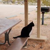 Review photo of Atlatl Rock Campground — Valley of Fire State Park by Mark H., June 20, 2023