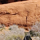 Review photo of Atlatl Rock Campground — Valley of Fire State Park by Mark H., June 20, 2023