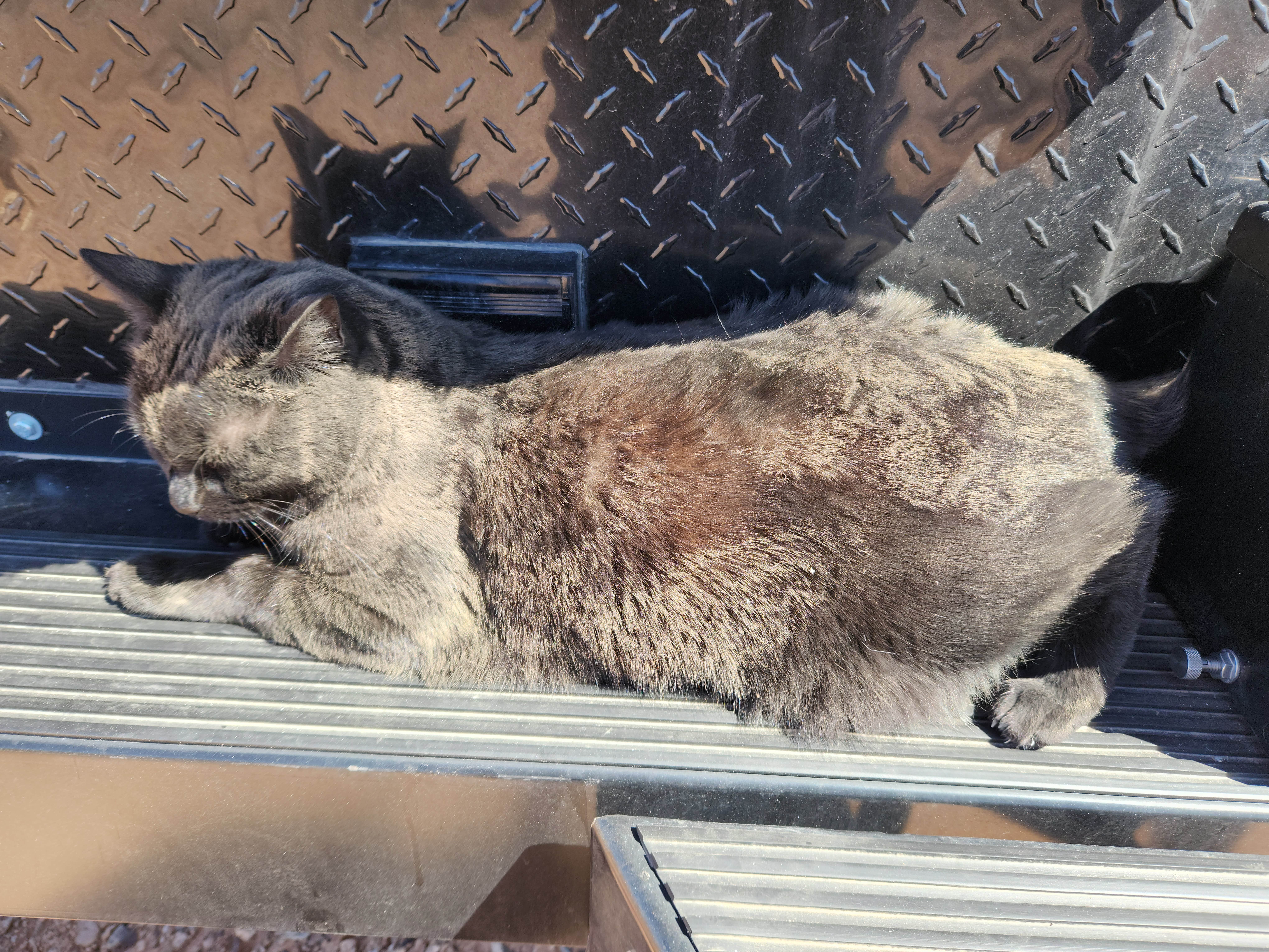 Camper-submitted photo at Sand Mine Road #110 Dispersed Camping near Bunkerville, NV