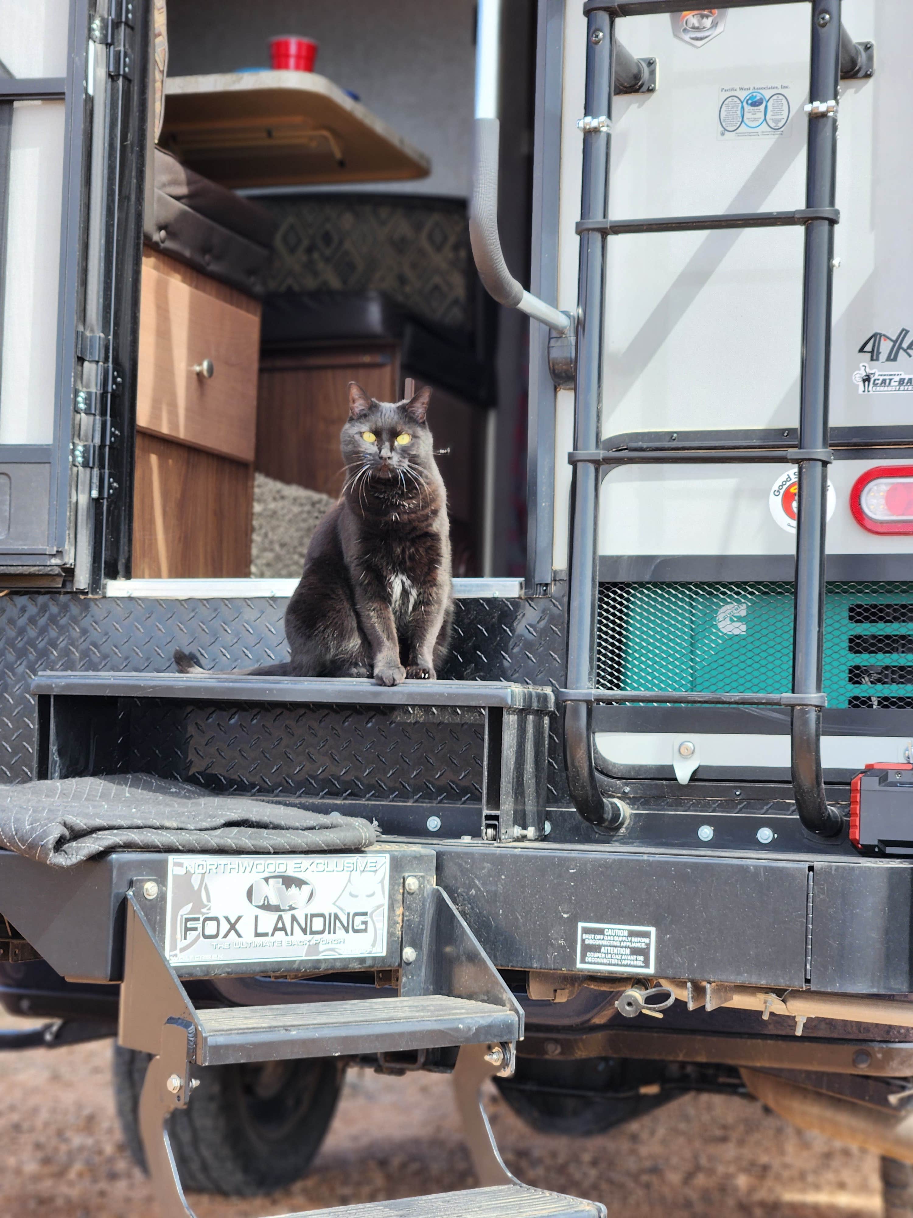 Camper-submitted photo at Sand Mine Road #110 Dispersed Camping near Bunkerville, NV