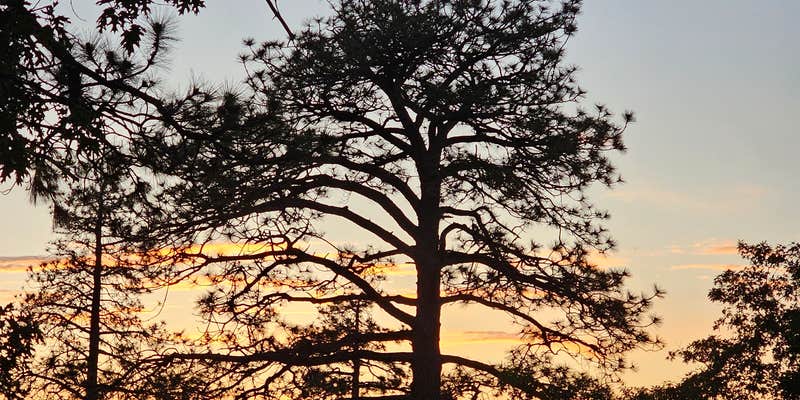 Camper submitted image from Mountain Oak