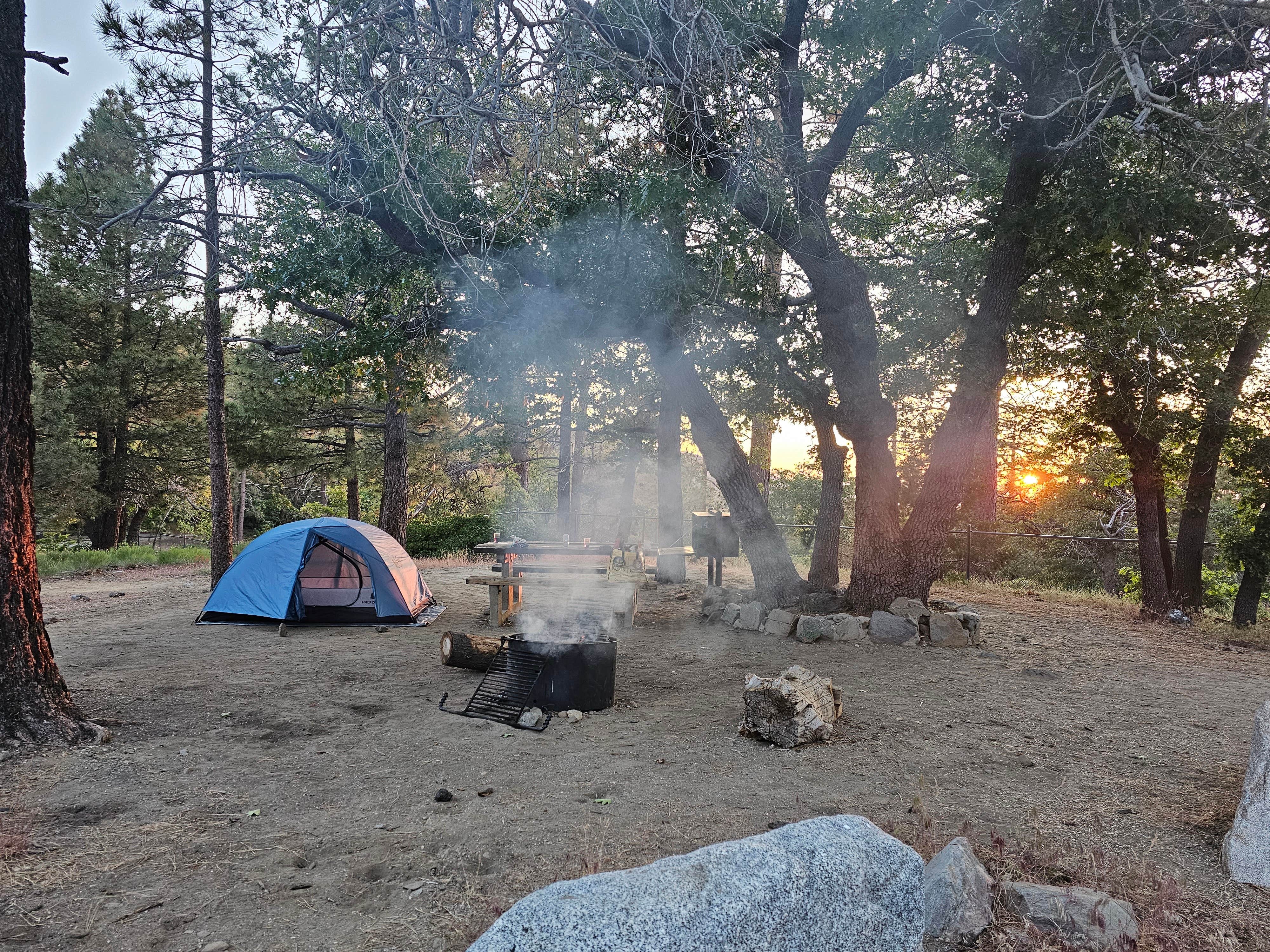 Camper submitted image from Mountain Oak - 2