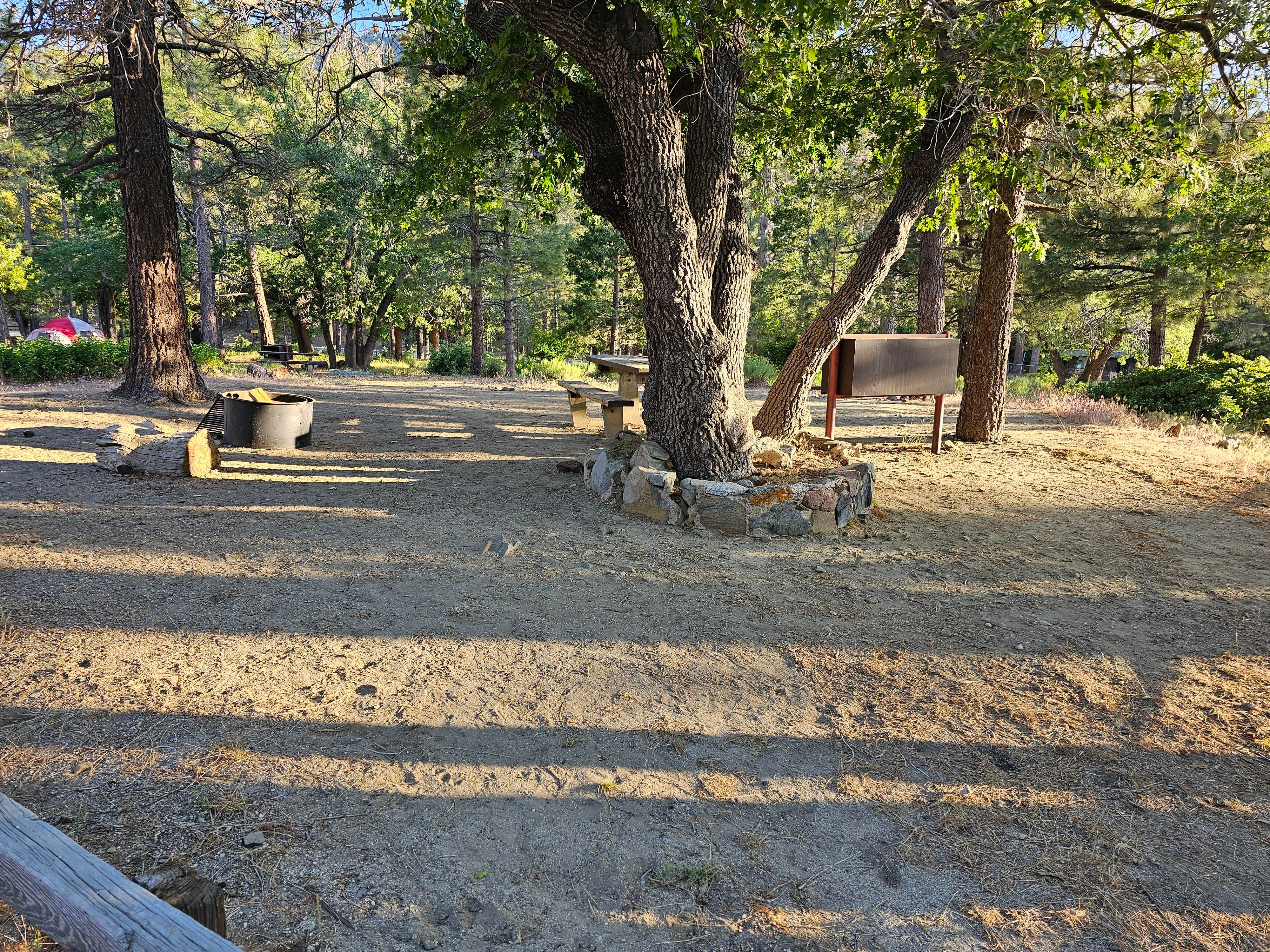 Camper submitted image from Mountain Oak - 5