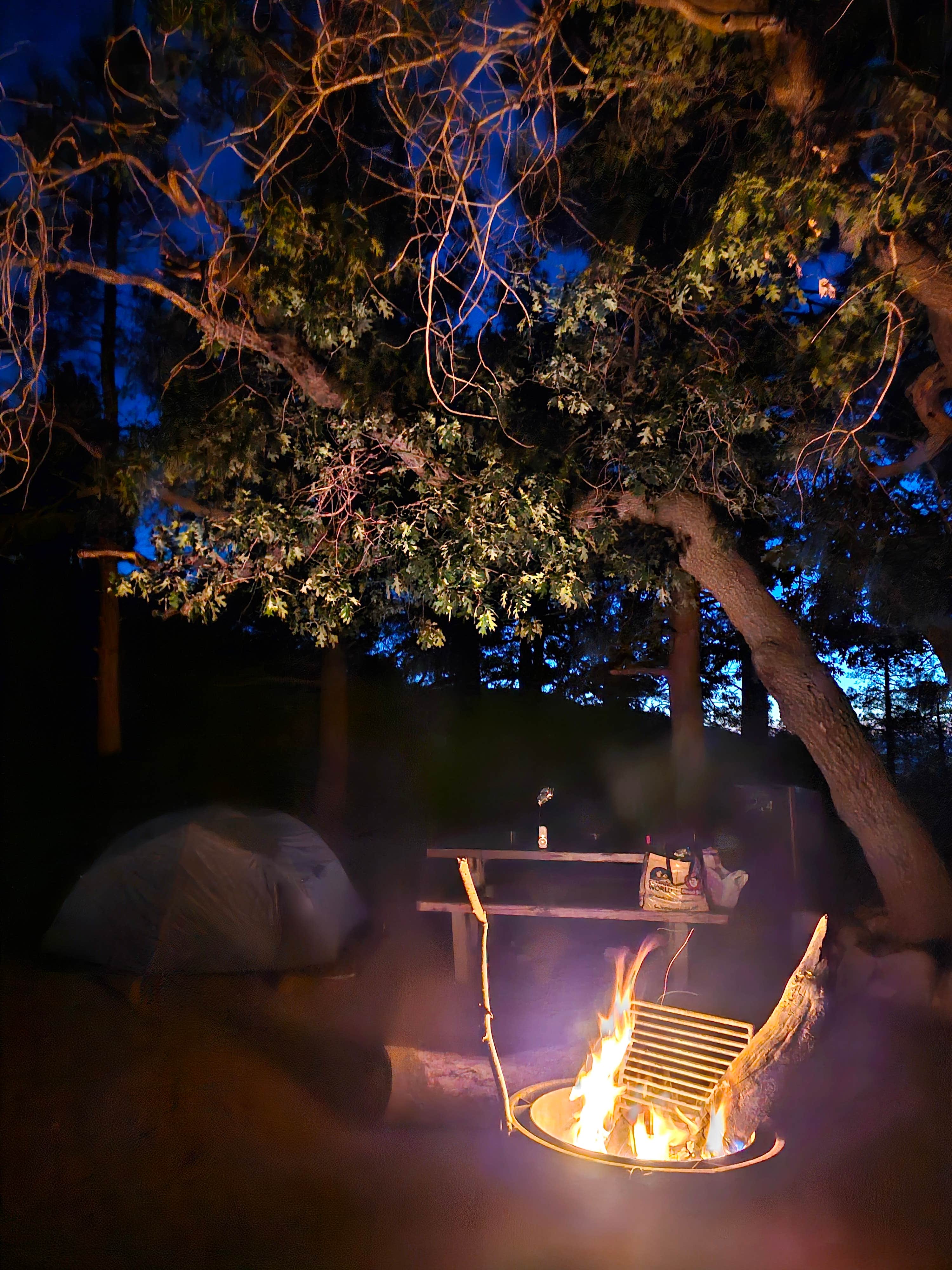 Gary G.'s photo at Mountain Oak near Llano, CA