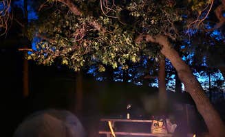 Gary G.'s photo at Mountain Oak near Llano, CA