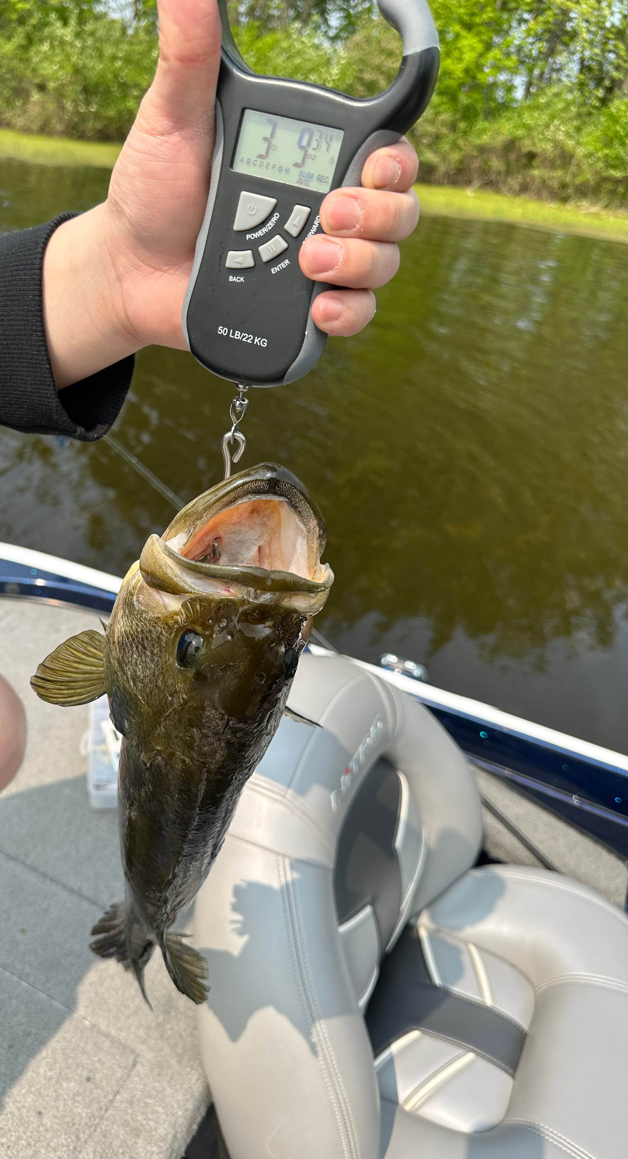 Otter Lake Chippewa County