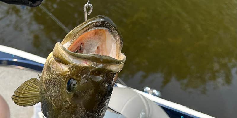 Camper submitted image from Otter Lake Chippewa County