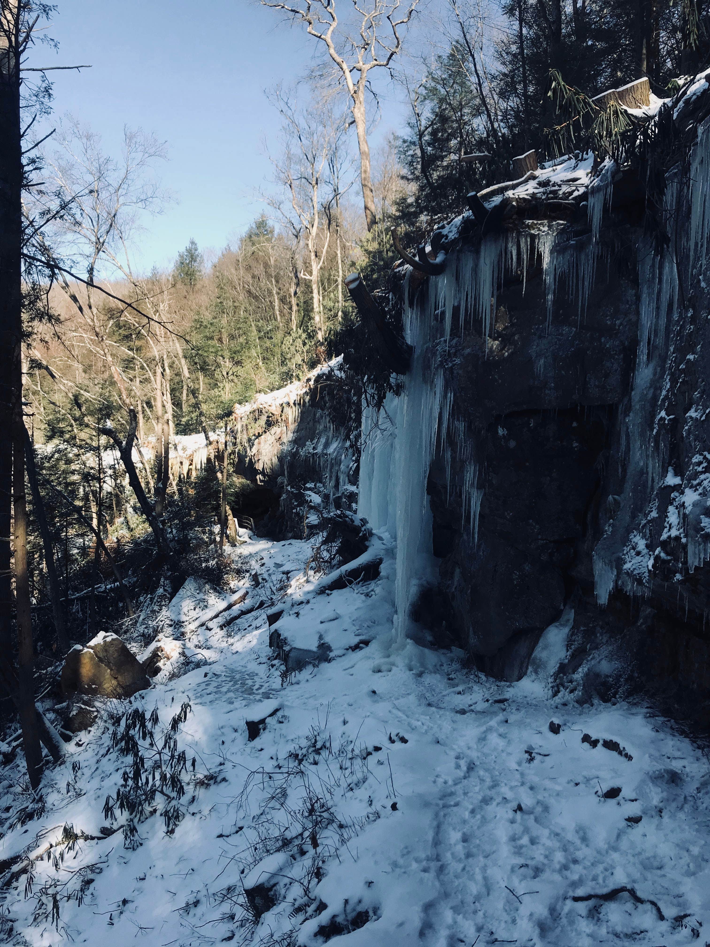 Camper-submitted photo at Audra State Park Campground in West Virginia
