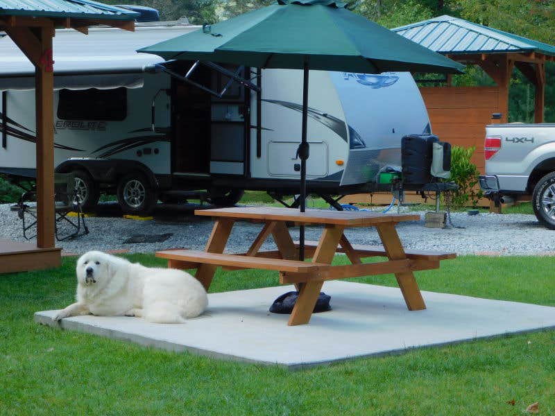 Jim E.'s photo of camping with pets at Deer Springs RV Park near Franklin, NC