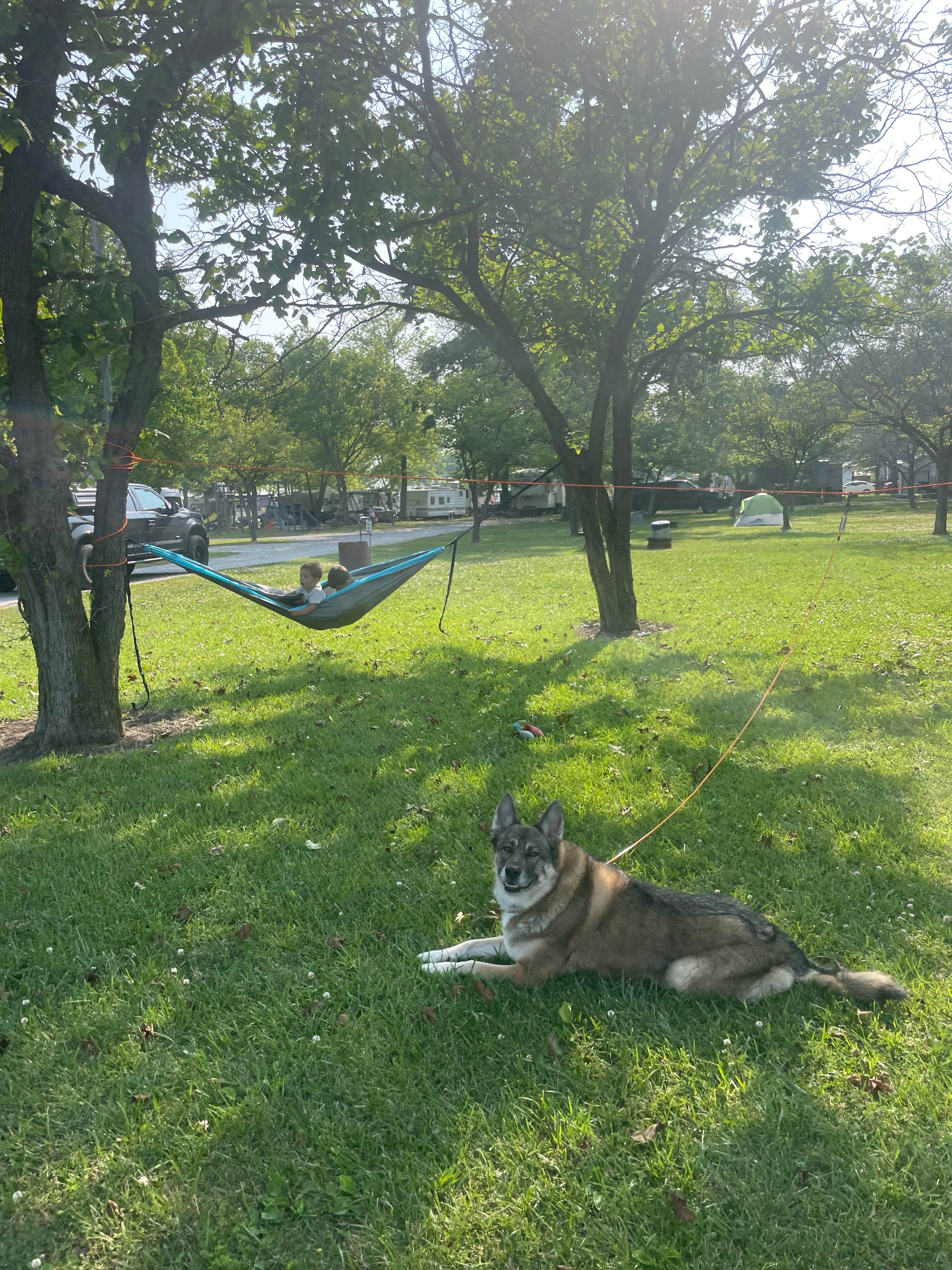 Cody V.'s photo of camping with pets at Gladhaven Campground and Marina near Lorain, OH