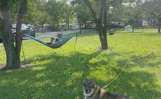Cody V.'s photo of camping with pets at Gladhaven Campground and Marina near Vermilion, OH
