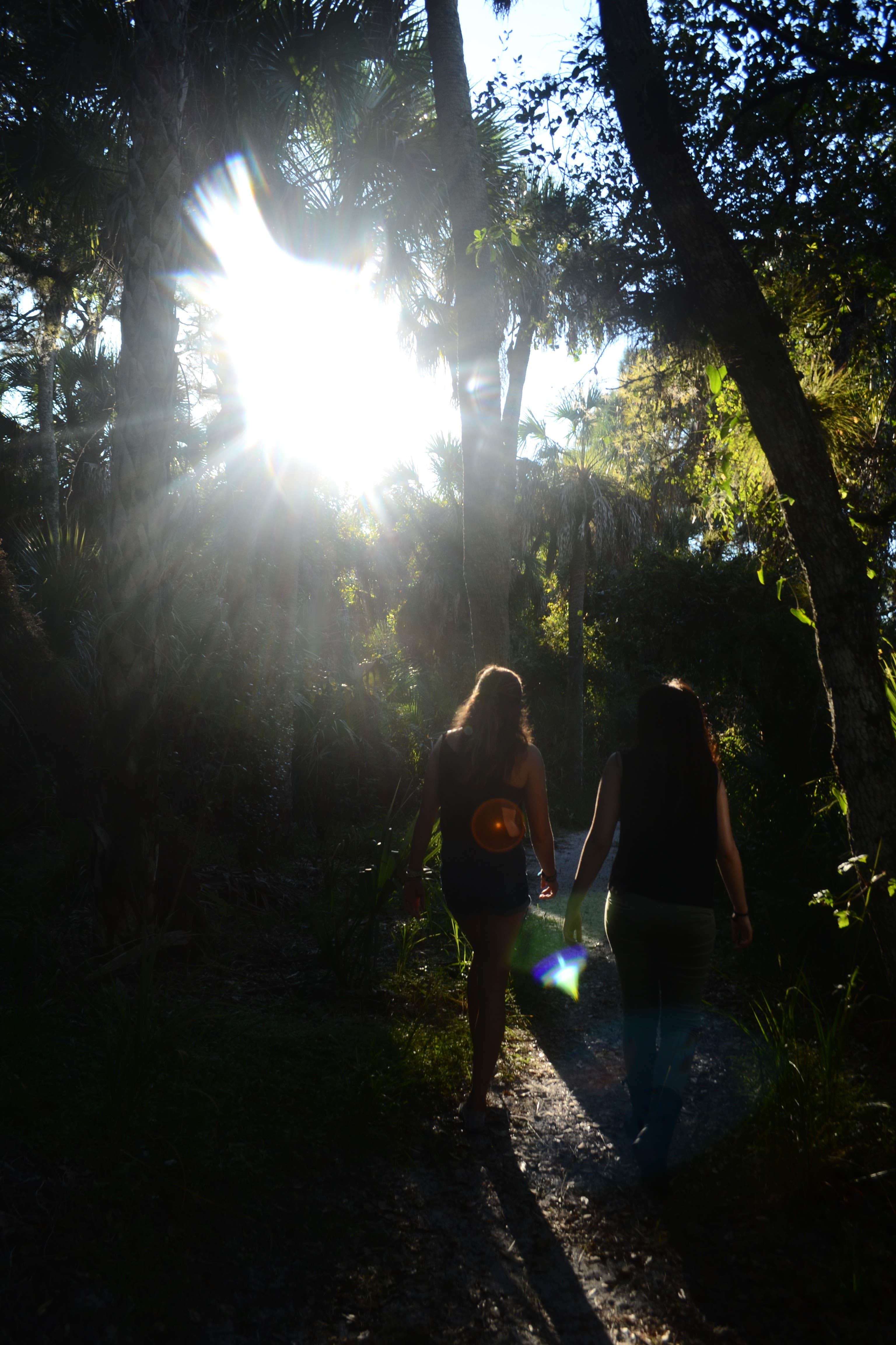 Bonita Springs - Photo 3