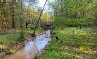 Matt D.'s photo of camping with pets at The Sleepy Sasquatch near Hartwell Lake