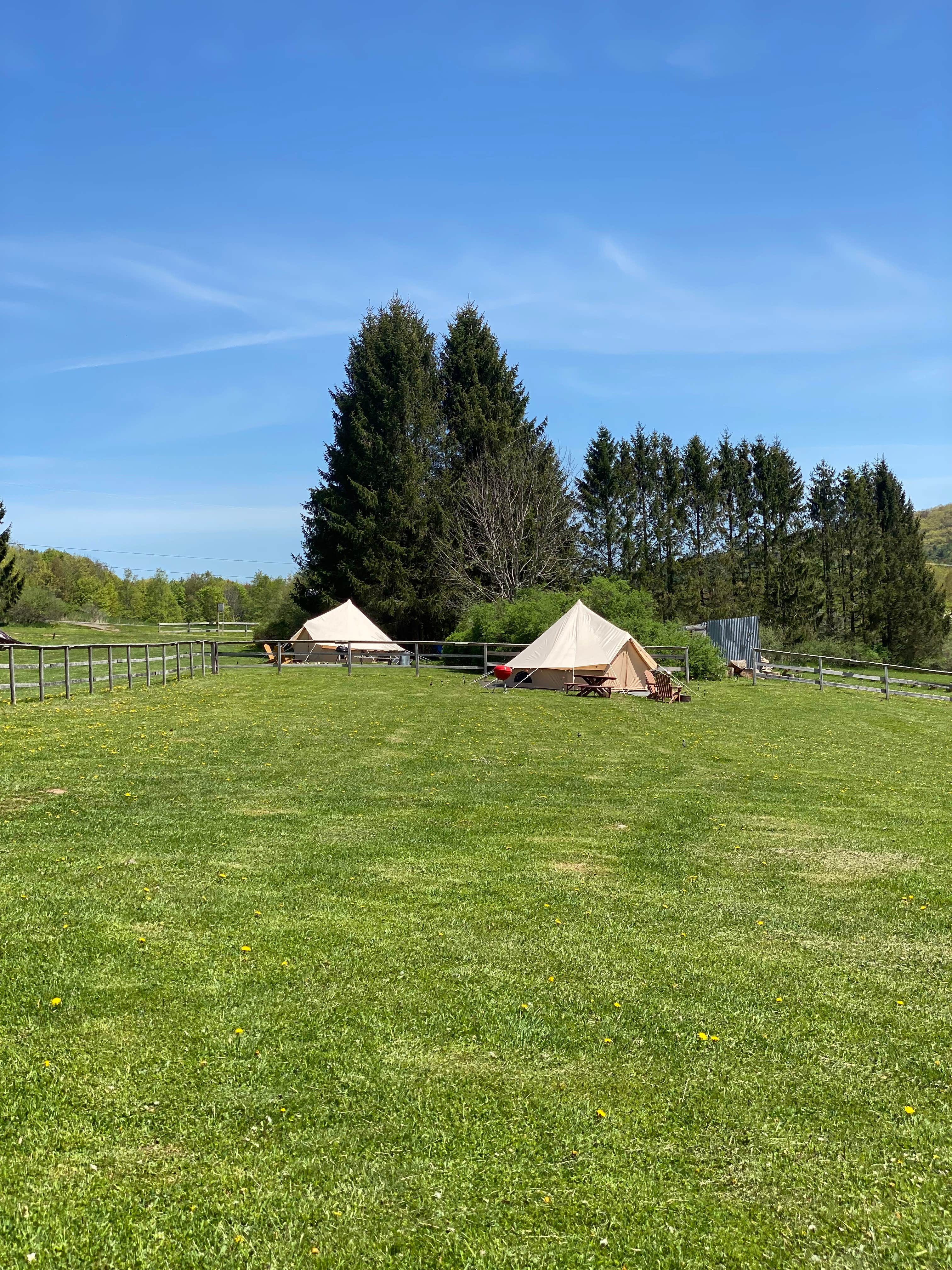 Camper-submitted photo at My Friends Place near Colliersville, NY
