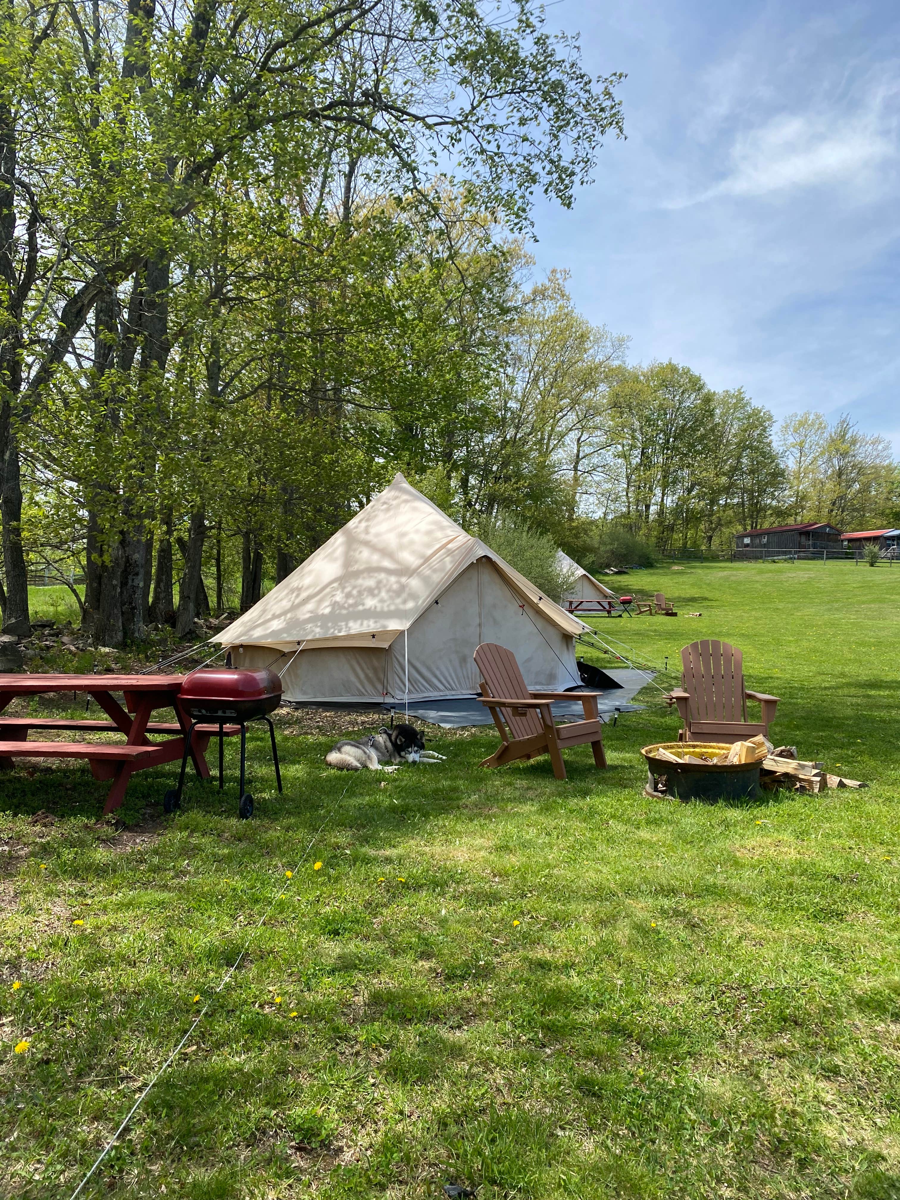 Camper-submitted photo at My Friends Place near Colliersville, NY
