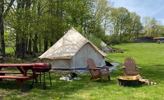 Rocky W.'s photo of camping with pets at My Friends Place near South Plymouth, NY