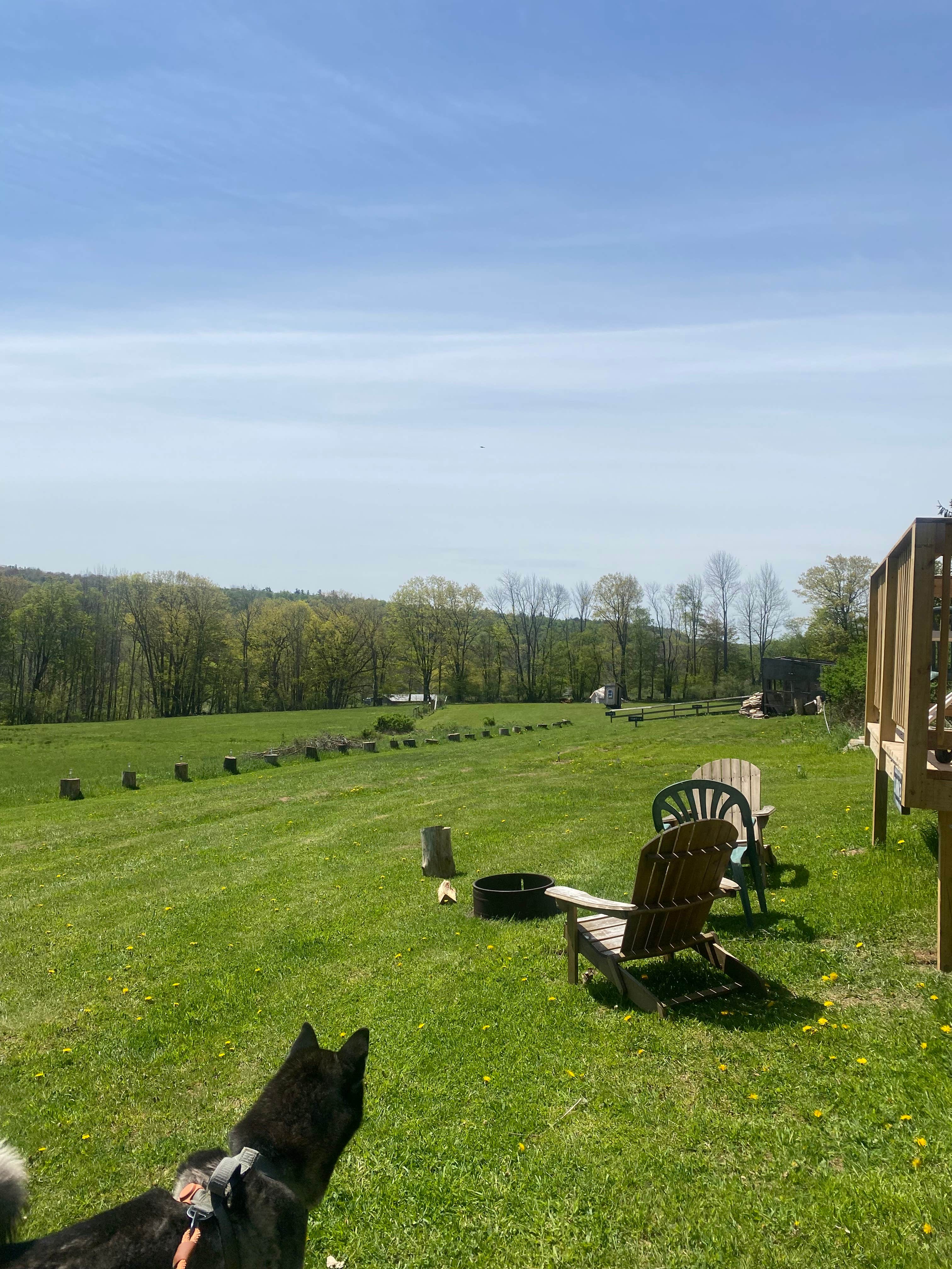 Rocky W.'s photo of camping with pets at My Friends Place near Norwich, NY