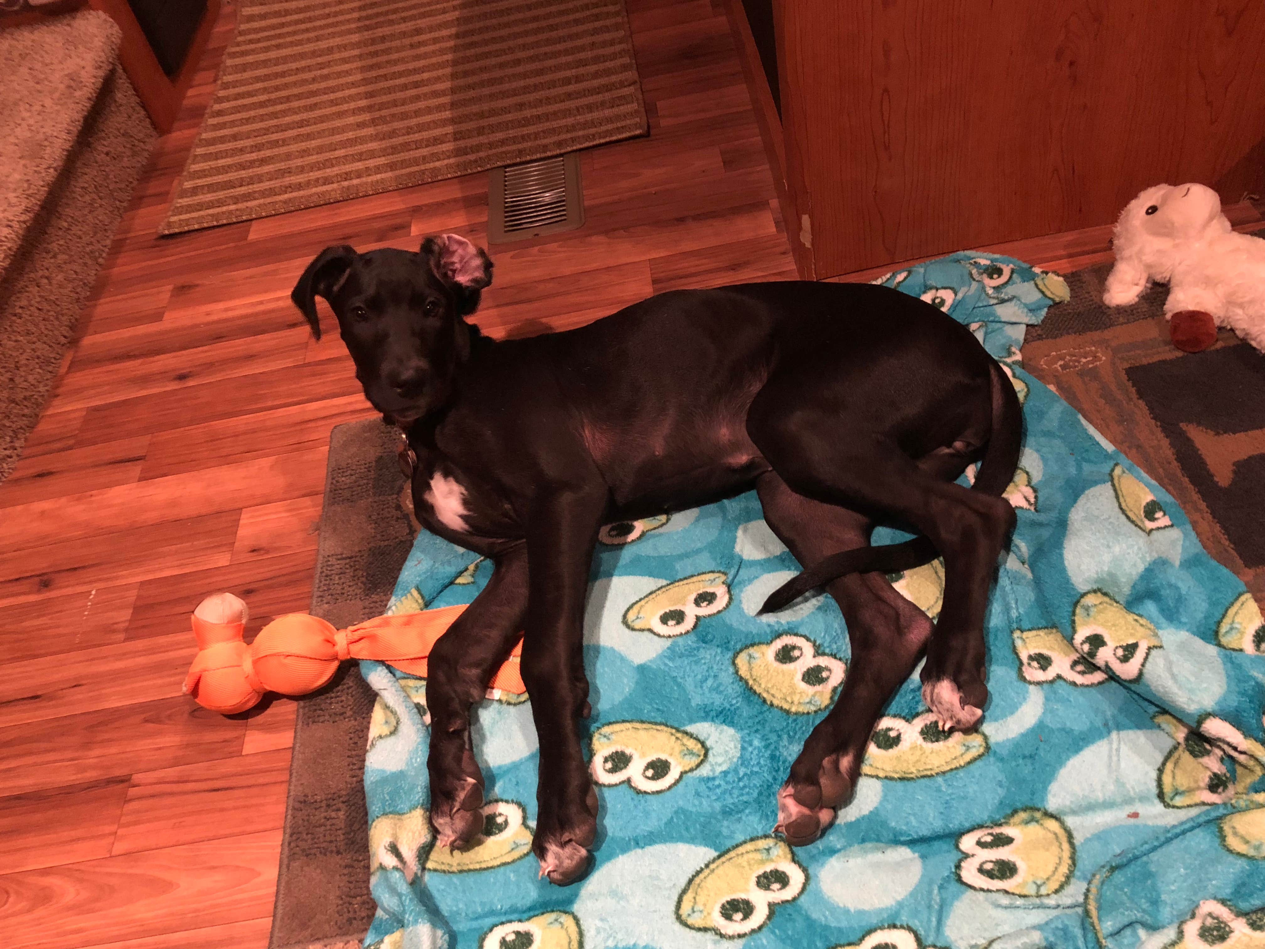 Camping near Big Indian Recreation Area: Rockford Lake State Recreation Area, Wymore, Nebraska