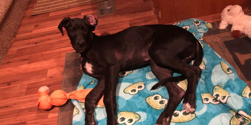 Camper submitted image from Rockford Lake State Recreation Area