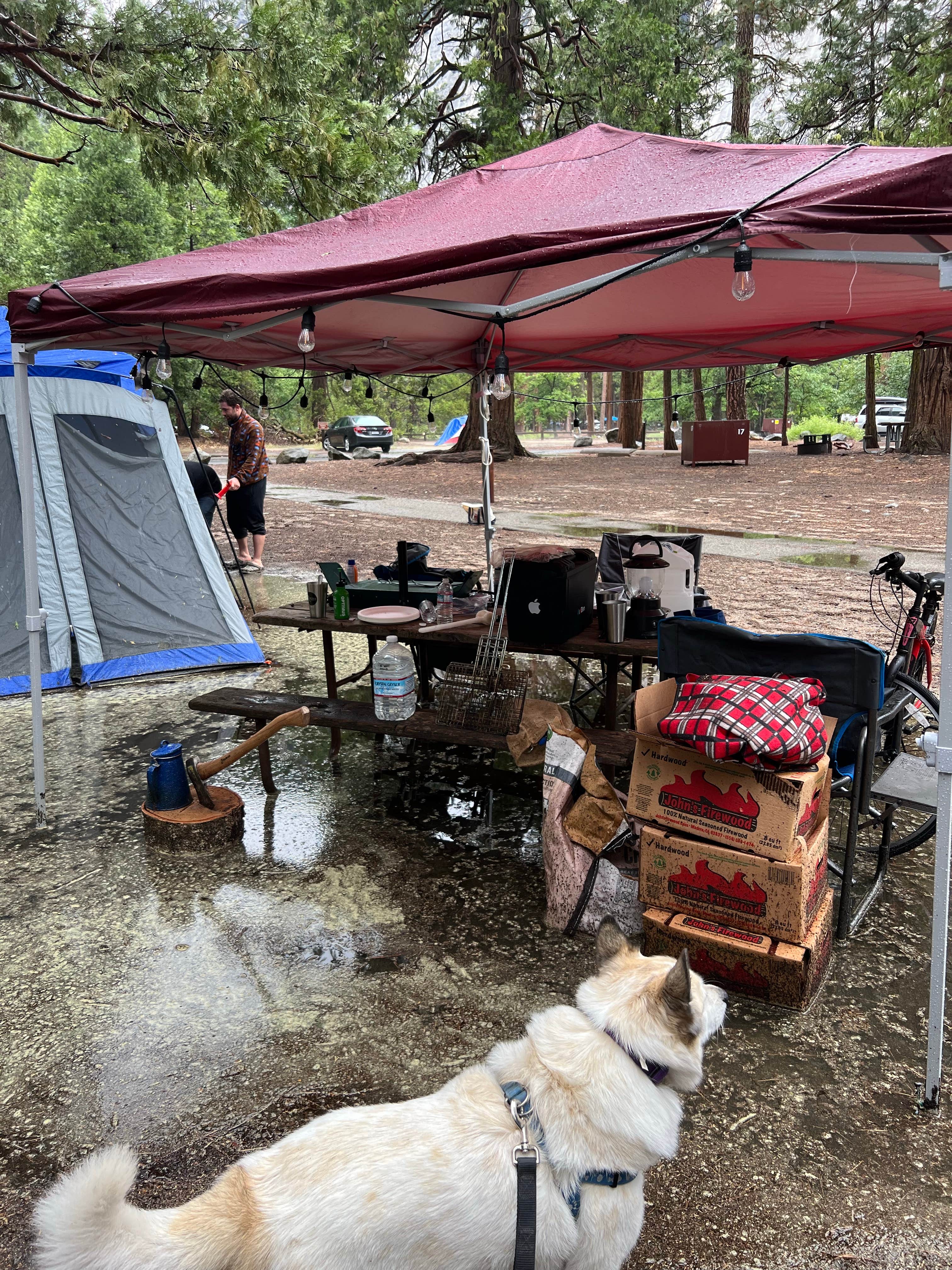 Joseph R.'s photo of camping with pets at Lower Pines Campground — Yosemite National Park near Eastman Lake