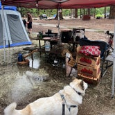 Review photo of Lower Pines Campground — Yosemite National Park by Joseph R., June 20, 2023