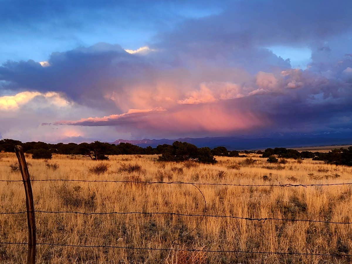 Camper submitted image from BLM Mt. Blanca Rd. Dispersed - 2