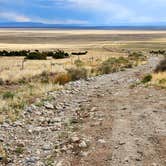 Review photo of BLM Mt. Blanca Rd. Dispersed by Fred S., June 20, 2023