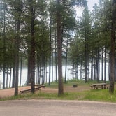 Review photo of Pactola Reservoir Campground by Nate K., June 20, 2023