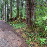 Review photo of Coho Campground by debra , June 20, 2023