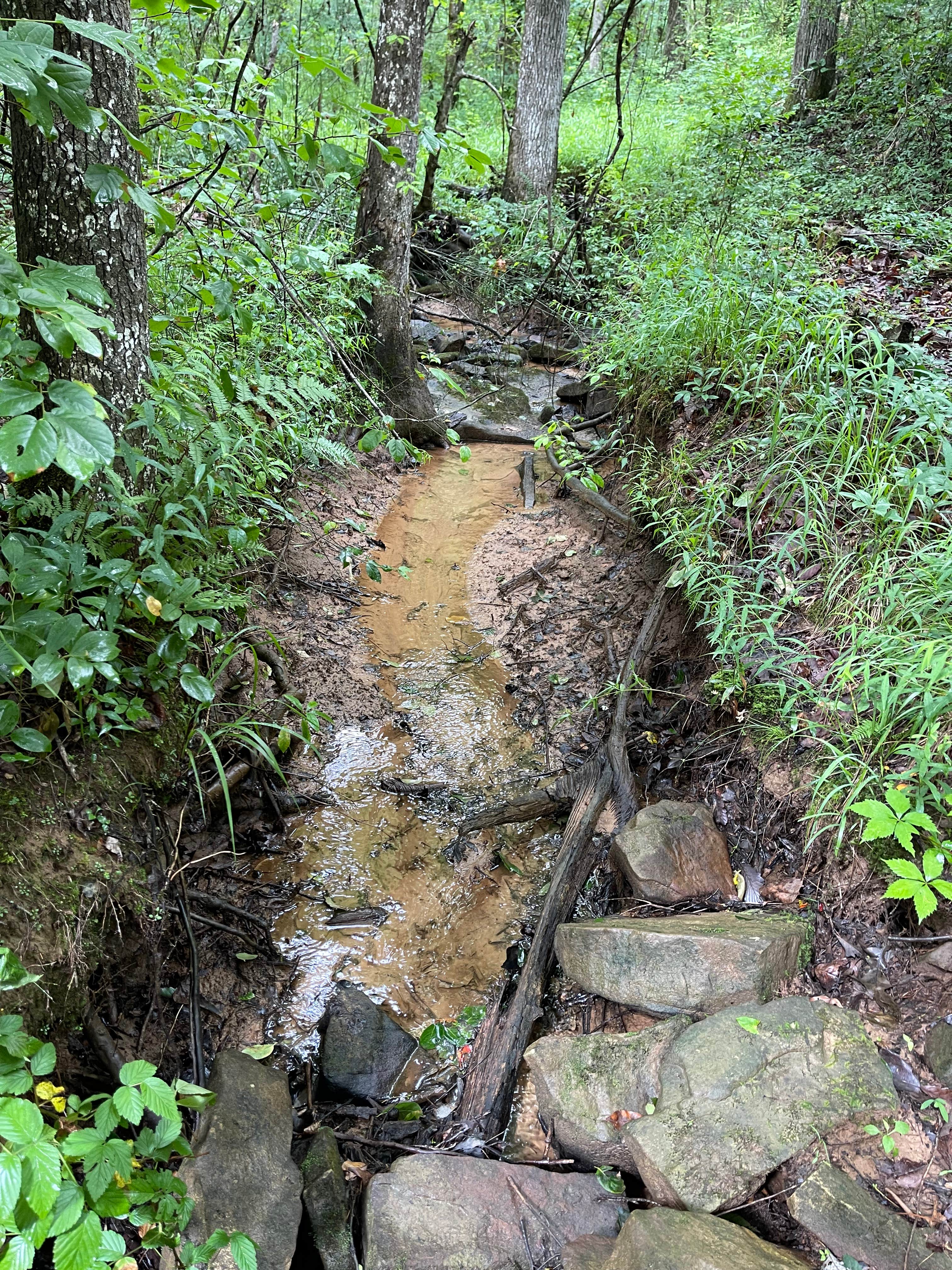 Camper-submitted photo at Hurricane Creek Campground near Fort Payne, AL