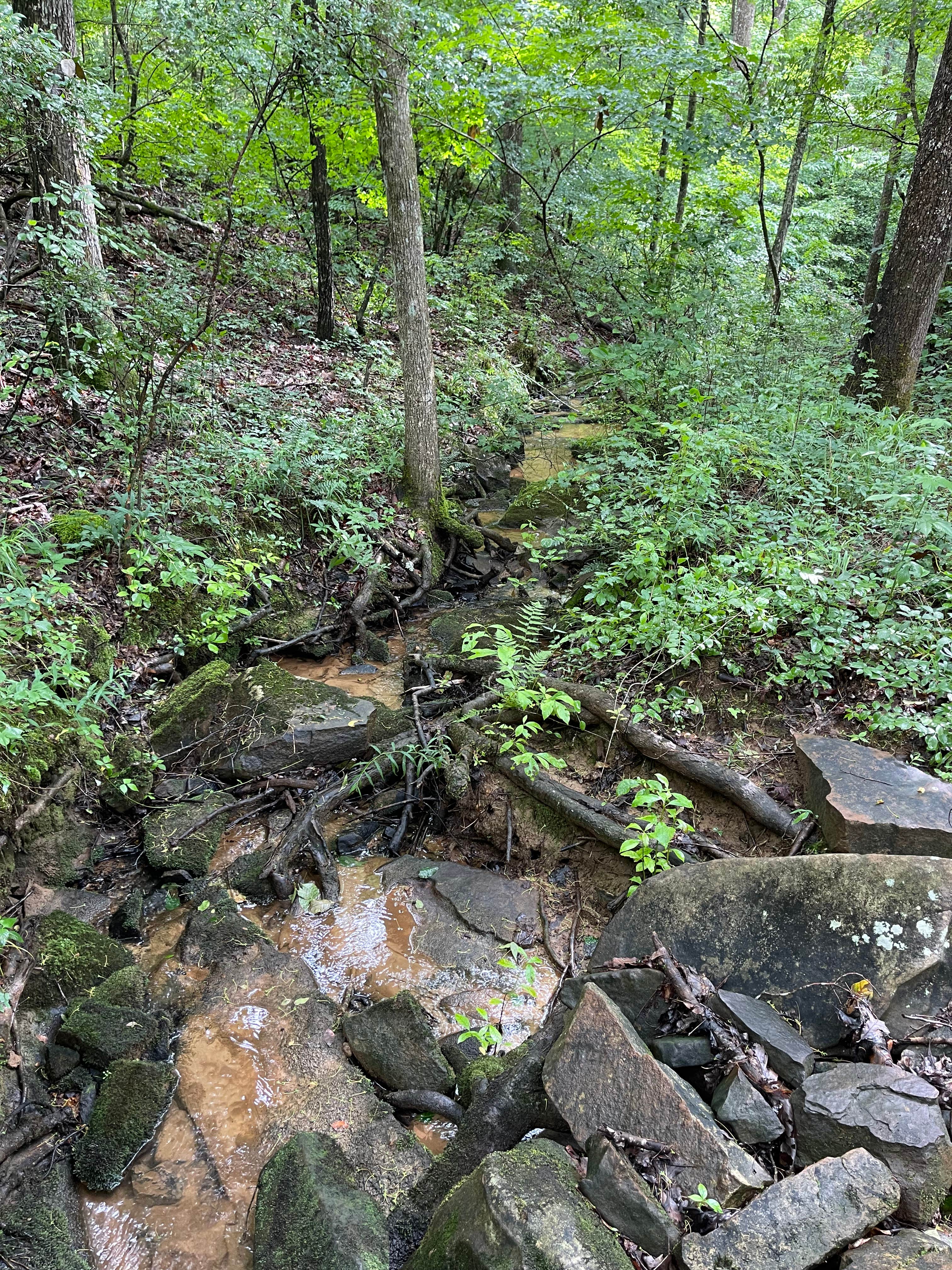 Camper-submitted photo at Hurricane Creek Campground near Fort Payne, AL