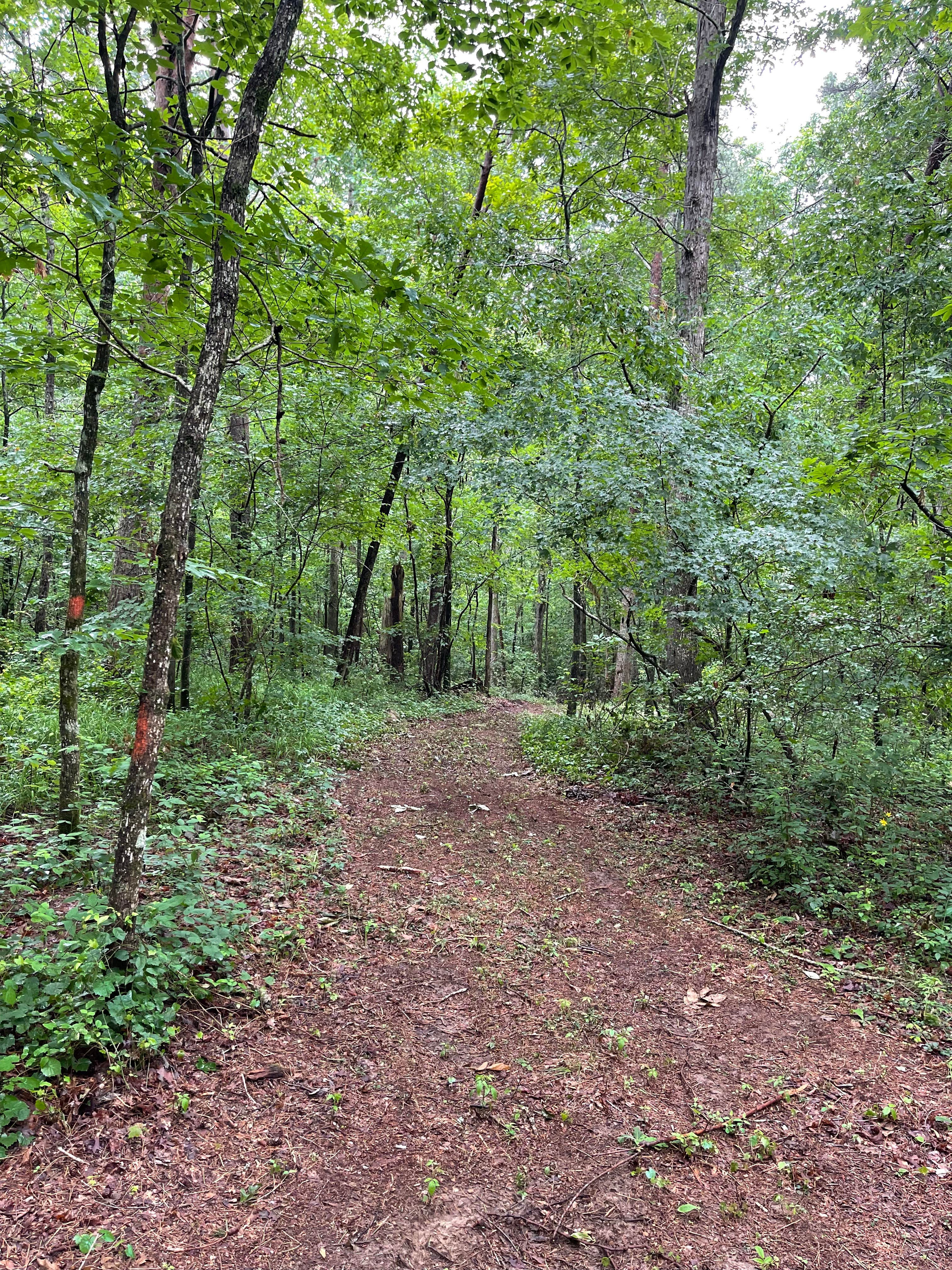 Camper-submitted photo at Hurricane Creek Campground near Fort Payne, AL