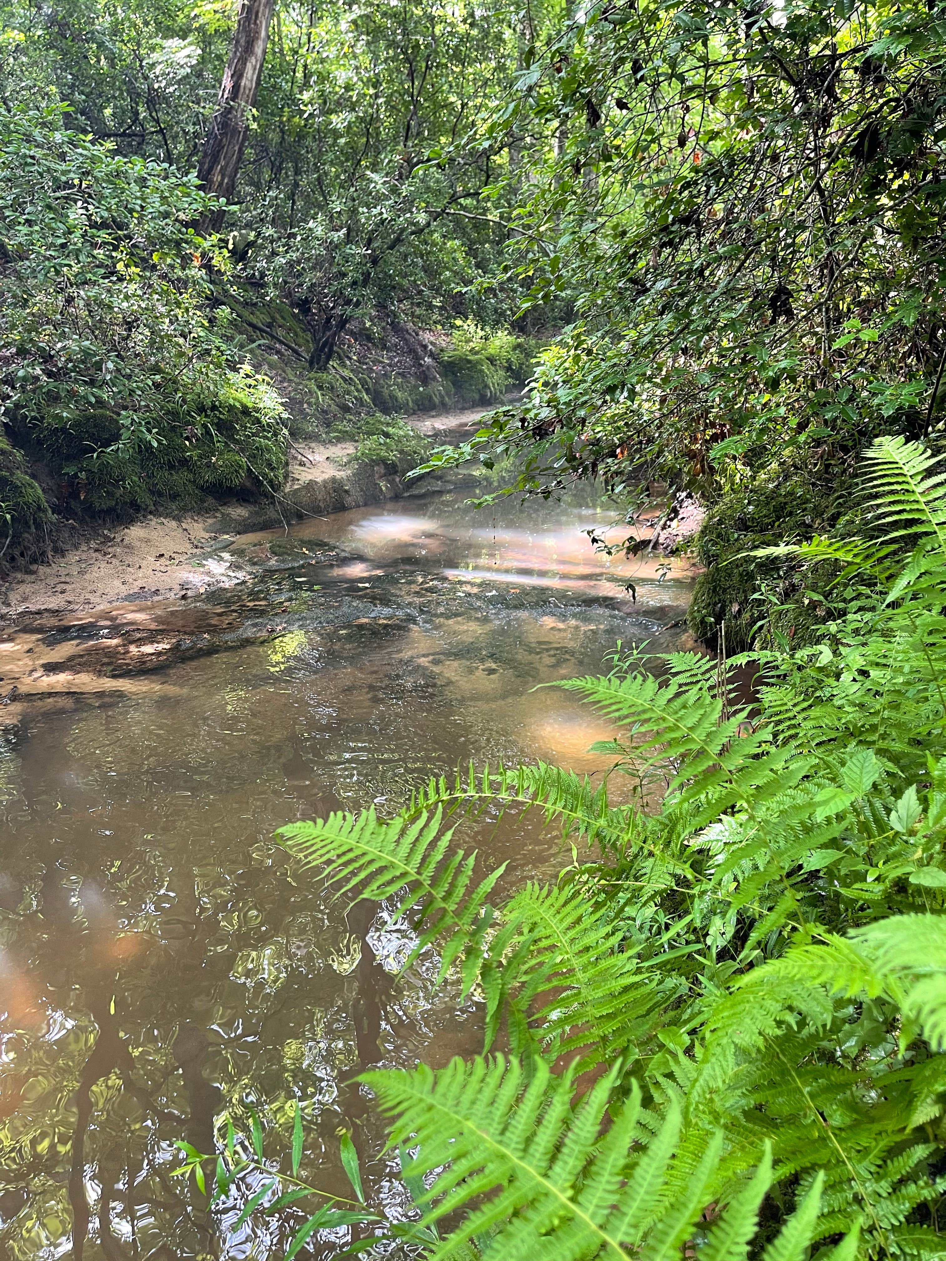 Camper-submitted photo at Hurricane Creek Campground near Fort Payne, AL