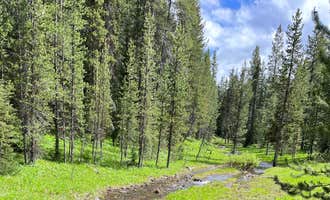 Camping near Red Canyon Road: East Fork on Cream Creek, West Yellowstone, Montana